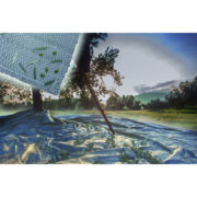 Ελαιόπανα 6*12m πυκνότητα: 100gr/m² - Image 2